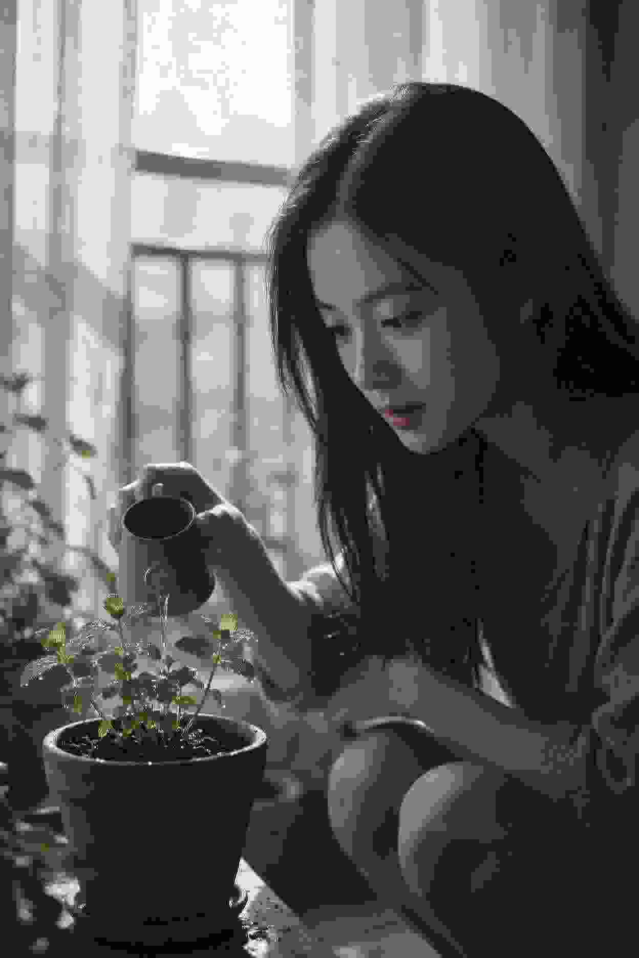 隐秘家族